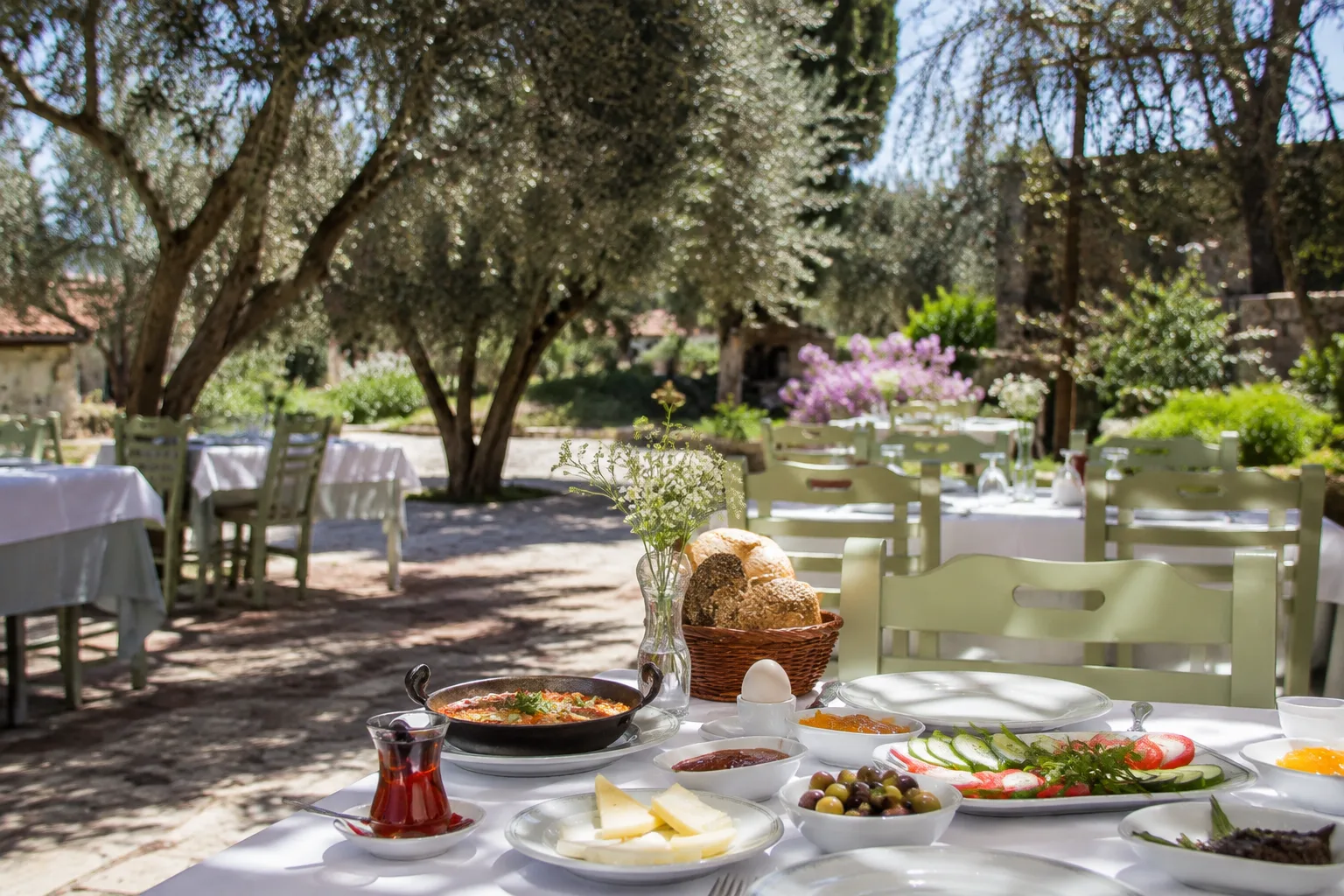 Zeytin Dalı restoran ve yemek fotoğrafı